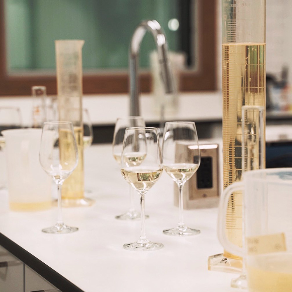 Winemaking quality assessment process in the lab