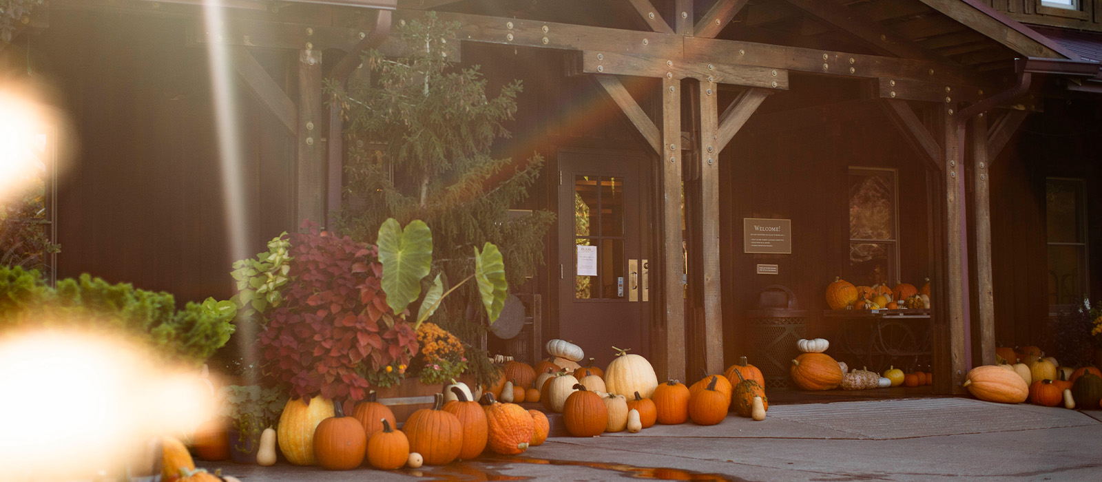 Oliver Winery tasting room decorated with colorful pumpkins and looking festive for fall